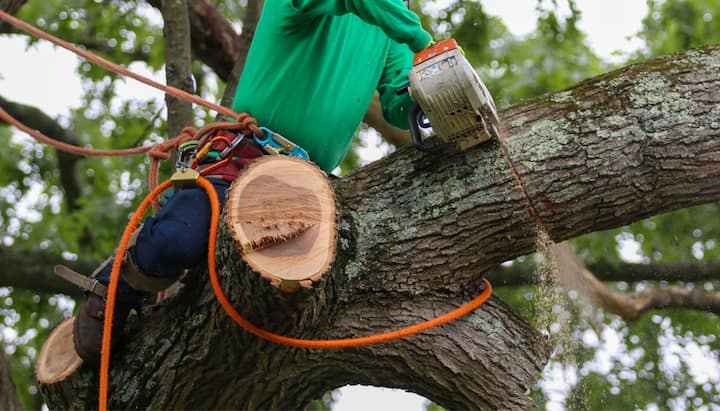 Equipped tree removal in Augusta, ME.